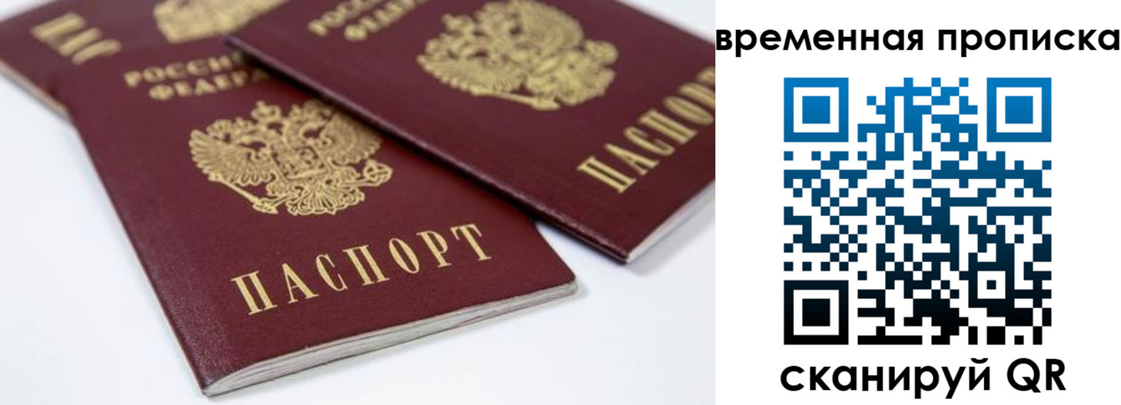 прописка для школы в Калужской области